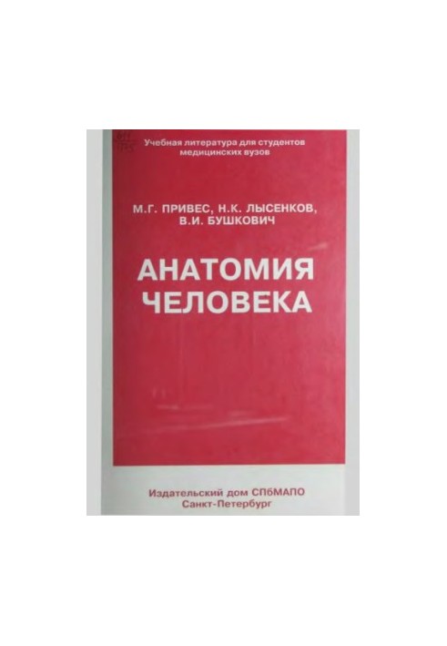 Анатомия человека