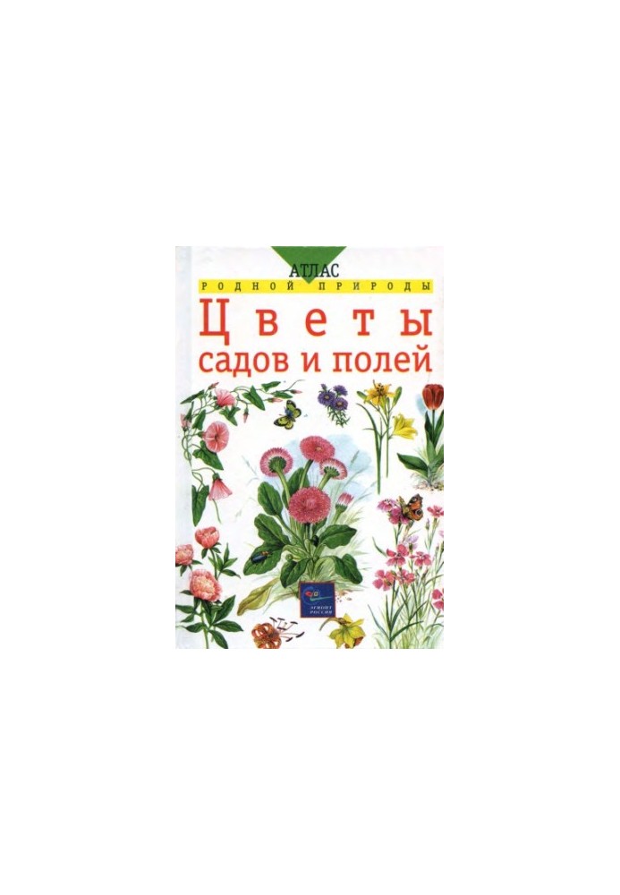 Квіти садів і полів