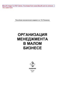 Organization of management in small business