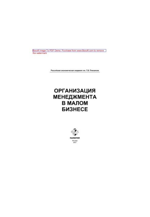 Organization of management in small business