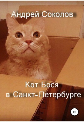 Bosya the cat in St. Petersburg