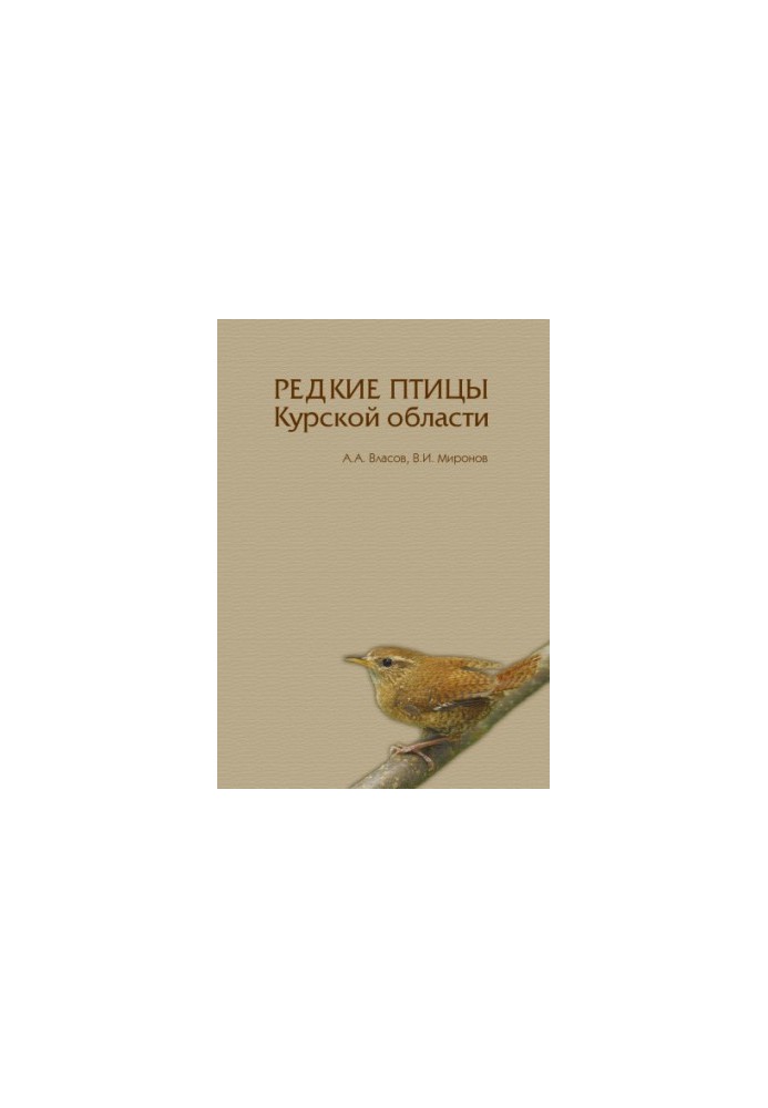 Редкие птицы Курской области