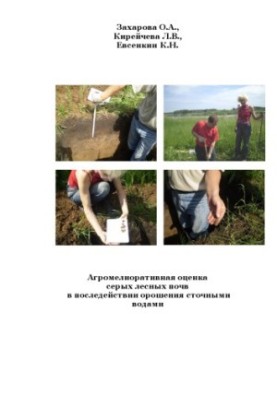 Agromeliorative assessment of gray forest soils in the aftermath of irrigation with sewage