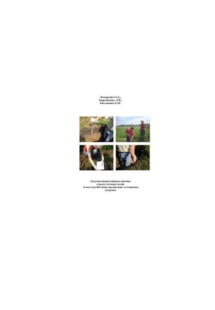 Agromeliorative assessment of gray forest soils in the aftermath of irrigation with sewage