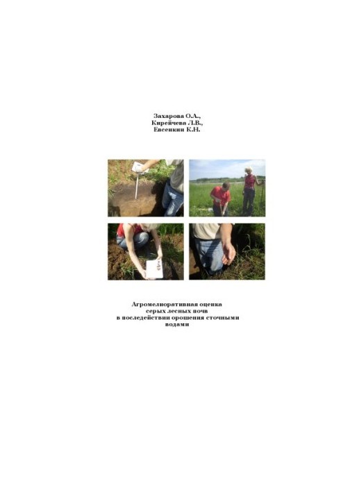 Agromeliorative assessment of gray forest soils in the aftermath of irrigation with sewage
