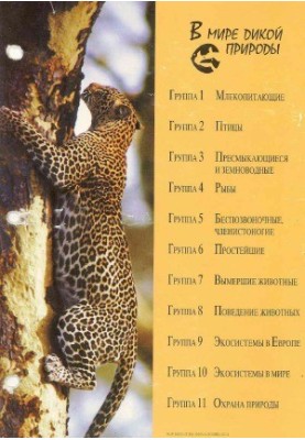 In the world of wildlife
