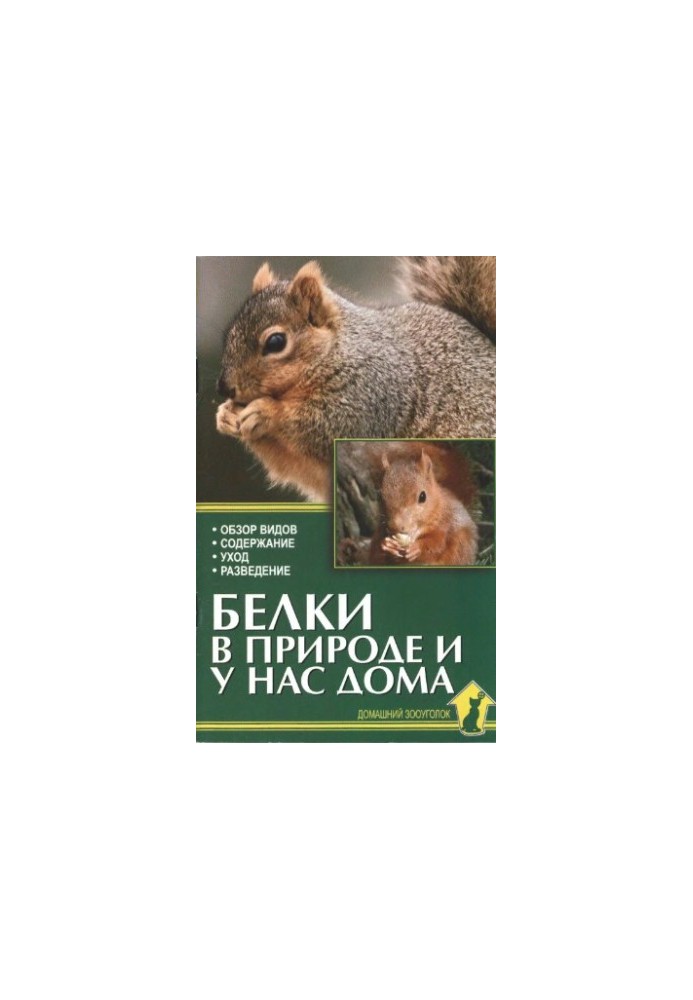 Squirrels in nature and at home