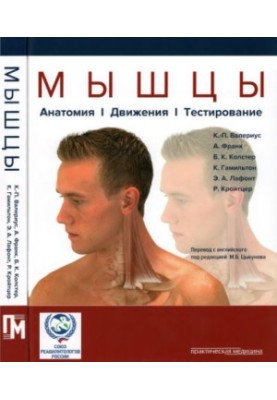 Muscles. Anatomy. Movements. Testing