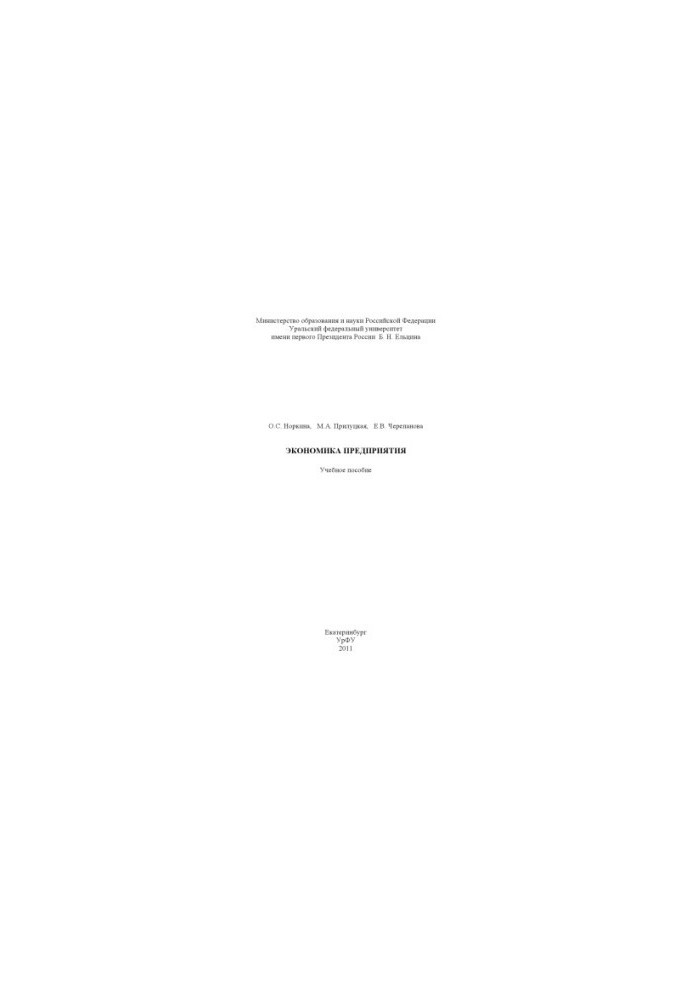 Economy of the enterprise