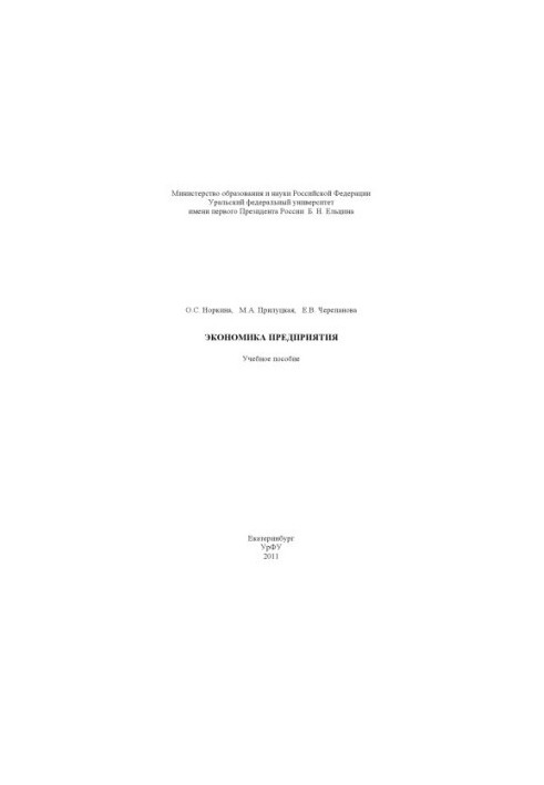 Economy of the enterprise