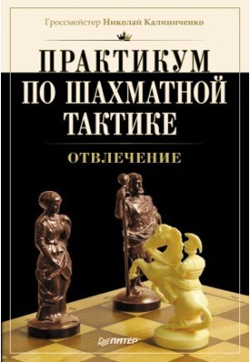 Workshop on chess tactics. Distraction