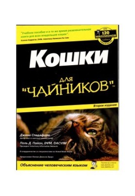 Коти для початківців