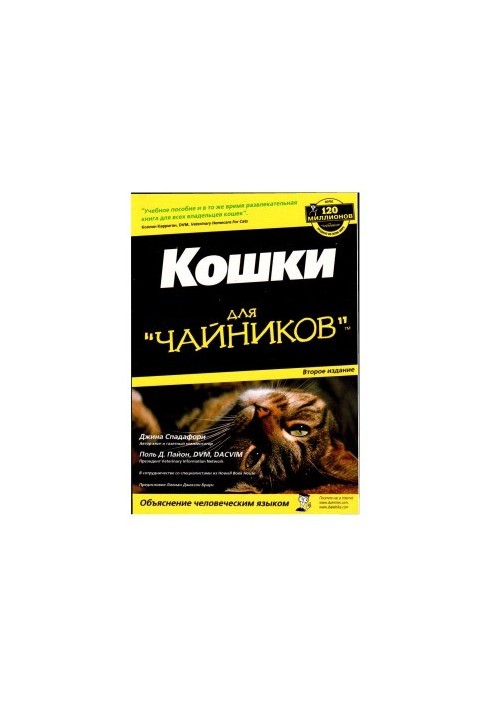 Коти для початківців