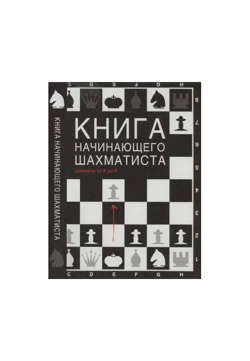 The Beginner Chess Player's Book