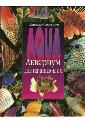 Акваріум для початківців