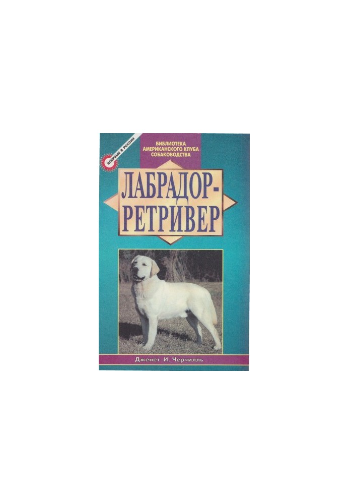 Лабрадор-ретривер