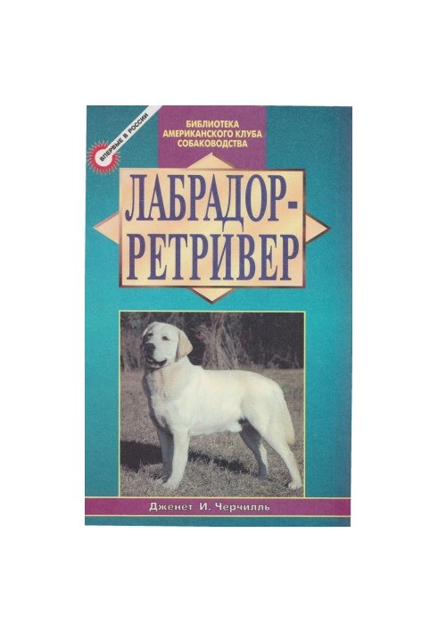 Лабрадор-ретривер