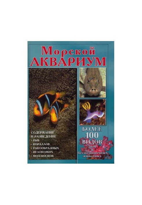 Морський акваріум. Утримання та розведення риб у морських акваріумах