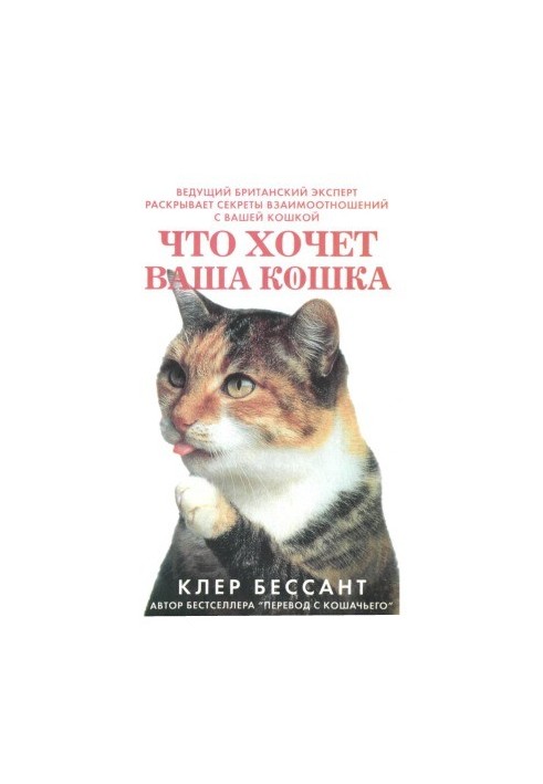 Що хоче ваша кішка. Навчіться розуміти свою кішку