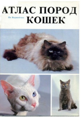 Атлас порід котів