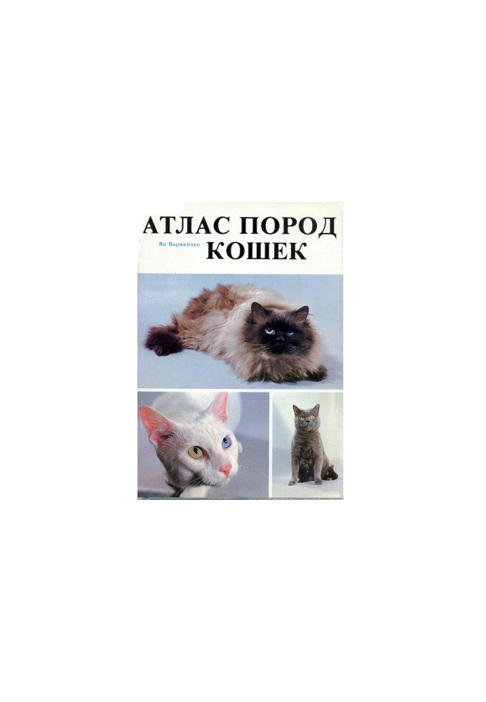 Атлас порід котів
