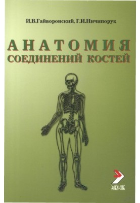 Anatomy of bone connection