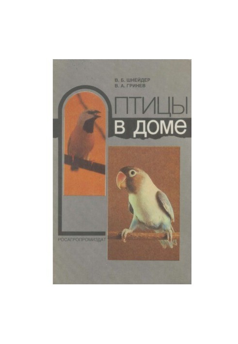 Birds in the house