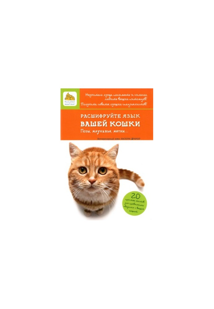 Decrypt your cat's tongue. Poses, meowing, marks...