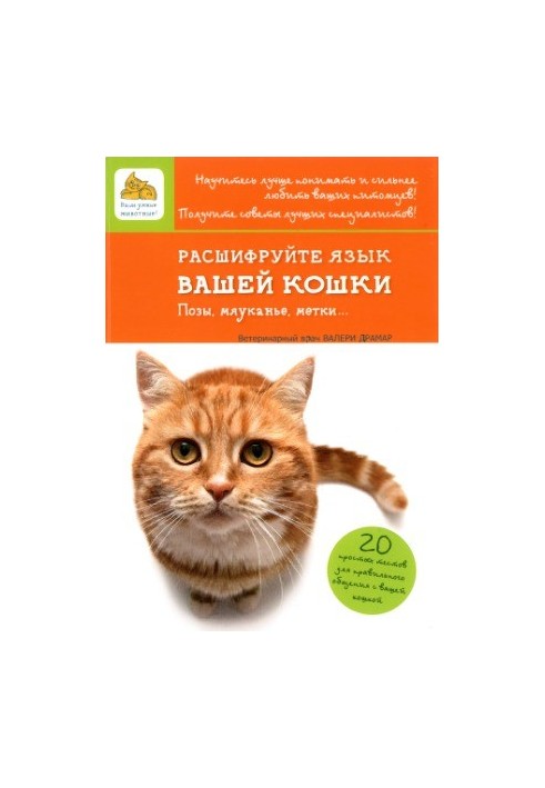 Decrypt your cat's tongue. Poses, meowing, marks...