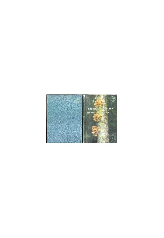 Mushroom communities of forest ecosystems. Volume 2
