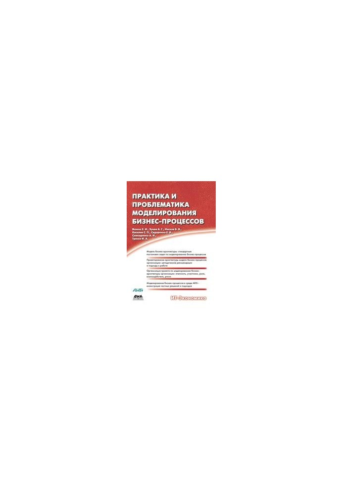 Practice and problems of business process modeling