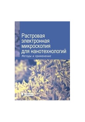 Raster electron microscopy for nanotechnology. Methods and applications