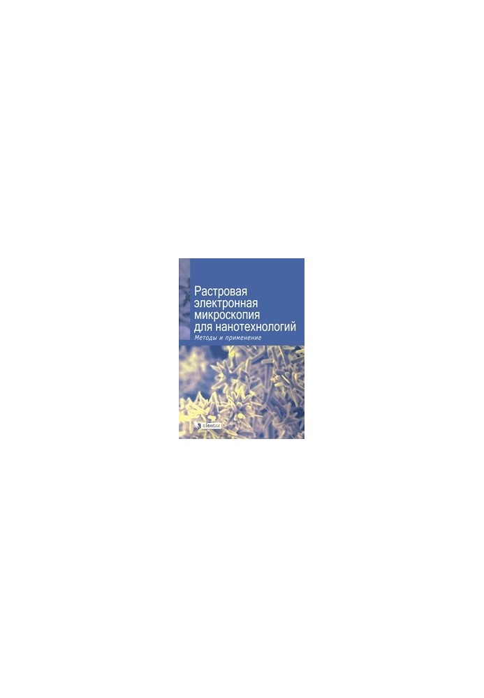 Raster electron microscopy for nanotechnology. Methods and applications