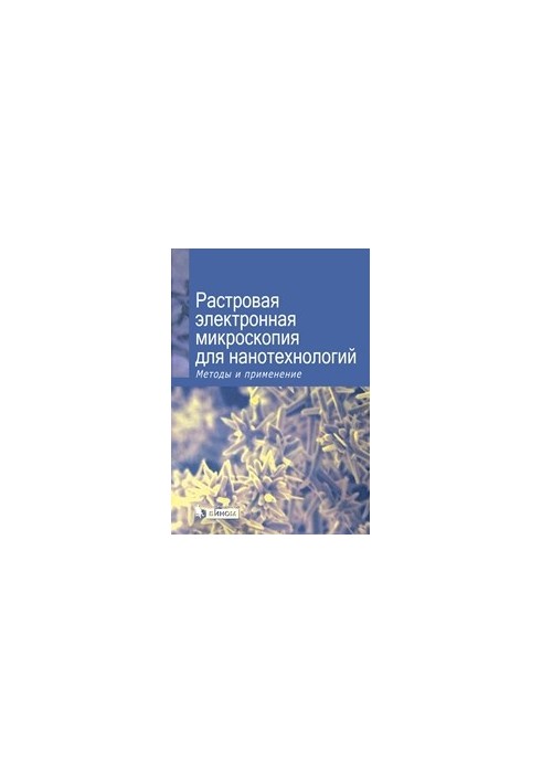 Raster electron microscopy for nanotechnology. Methods and applications