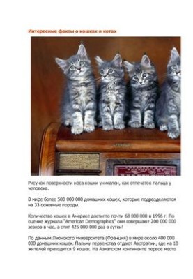 Цікаві факти про котів і кішок
