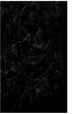 Meteorics. Collection of articles edited by V. I. Vernadsky. Issue II