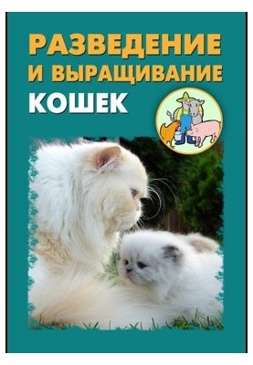 Розведення та вирощування котів