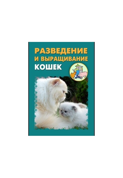 Розведення та вирощування котів