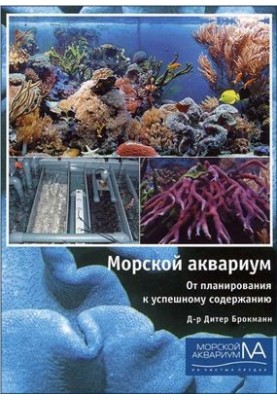 Marine aquarium. From planning to successful content