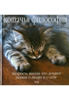 Котяча філософія. Мудрість життя: що думають коти про людей і про себе