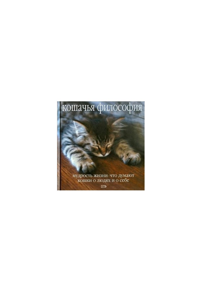 Котяча філософія. Мудрість життя: що думають коти про людей і про себе