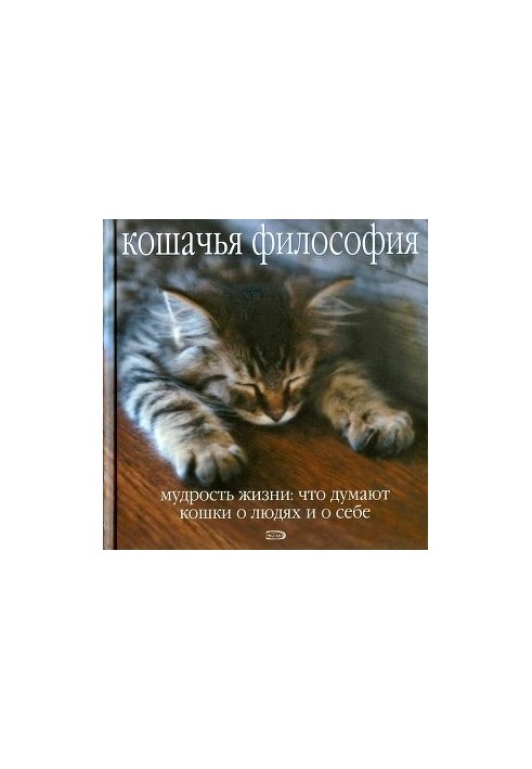 Котяча філософія. Мудрість життя: що думають коти про людей і про себе