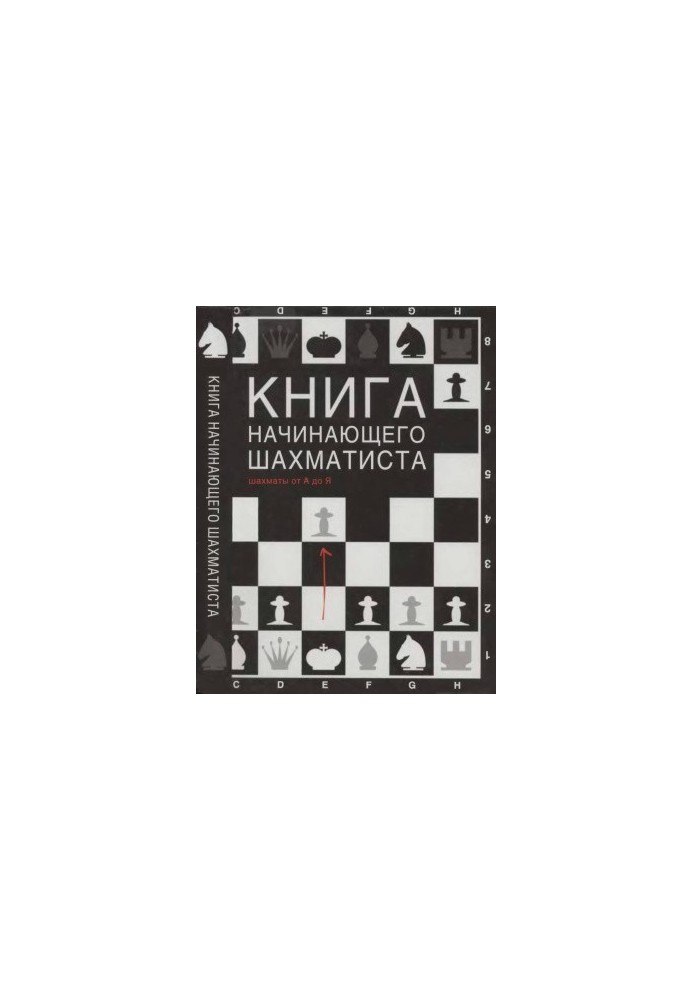 The Beginner Chess Player's Book