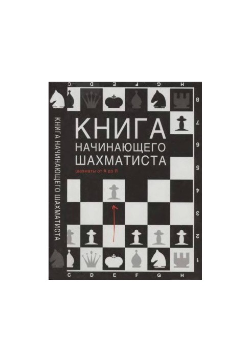 The Beginner Chess Player's Book