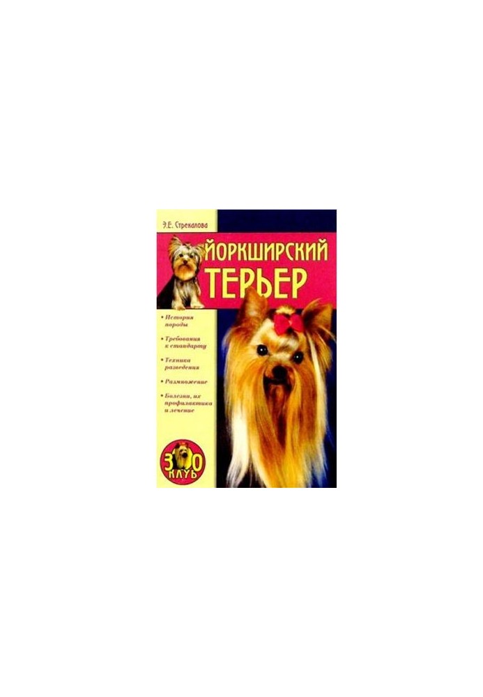 Усе про собак. Йоркширський тер'єр