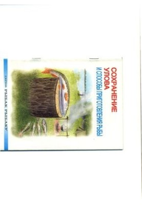 Conservation of catch and methods of preparation of fish