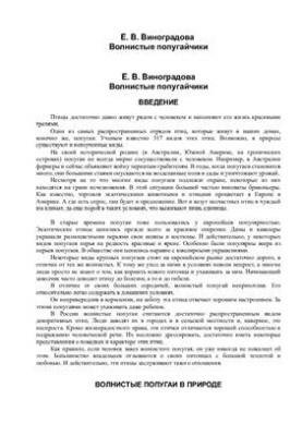 Волнистые попугайчики