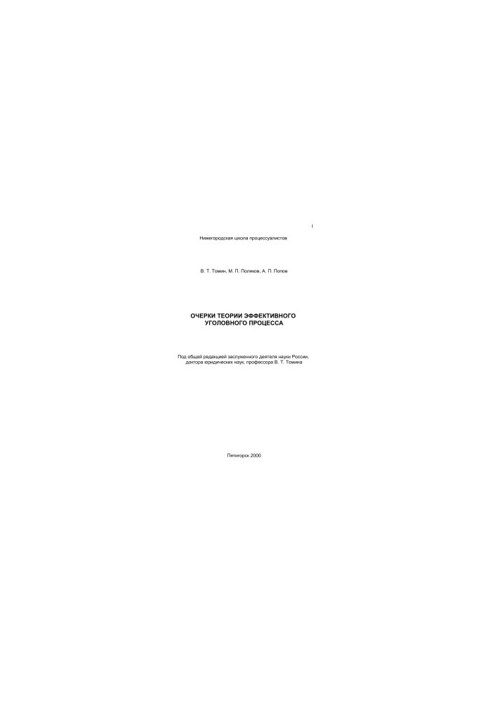 Essays on the theory of effective criminal process