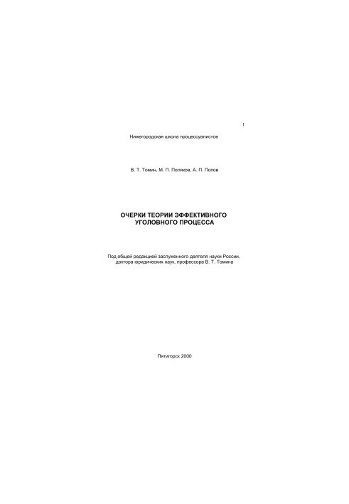 Essays on the theory of effective criminal process