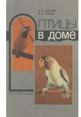 Птицы в доме